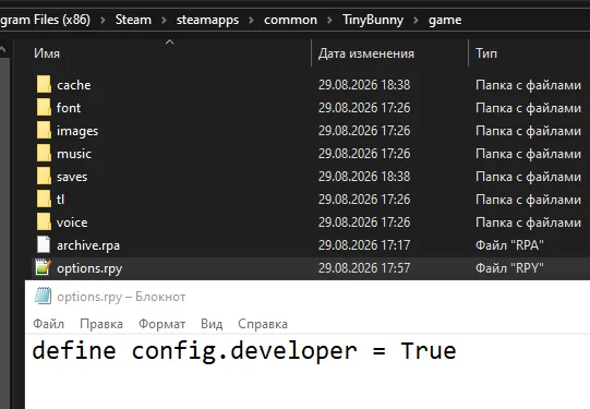 Режим разработчика в Tiny Bunny (Зайчик)